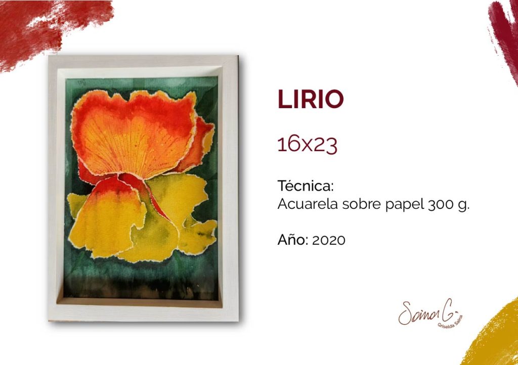 Catalogo Mayo 2026-14