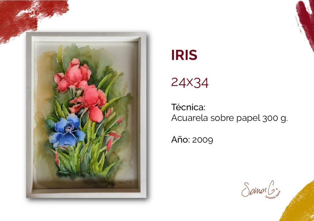 Catalogo Mayo 2026-15