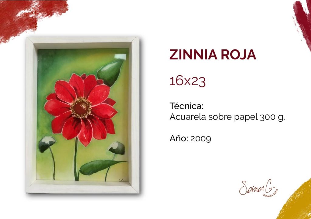 Catalogo Mayo 2026-19